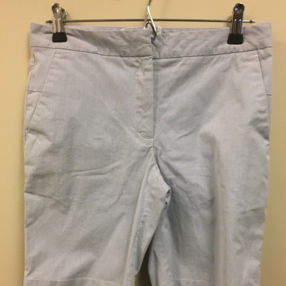 H&M Blue/White Pinstripe Seersucker Shorts